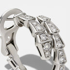 Snake Chain Zircon Earrings